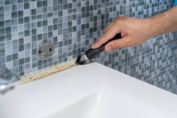 Best Black Mold Remediation in Clive, IA